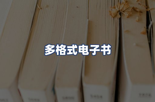 多格式电子书